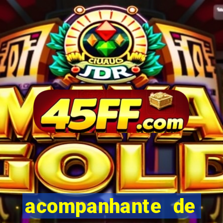 acompanhante de luxo porto feliz